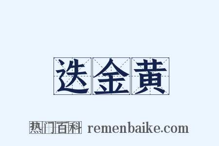 迭金黄是什么意思的图片